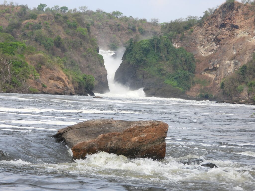 Karibu to Starling Safaris